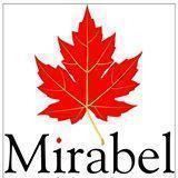 Mirabel Interior Designer institute in Delhi