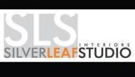 Silver Leaf Studio institute in Delhi