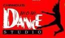 Chandus Wow Dance Studio photo