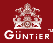 Guntier institute in Delhi