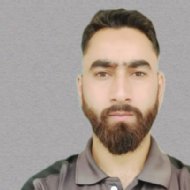 Toufeeq Sultan Mir Class I-V Tuition trainer in Baramulla