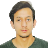 Gaurav Sen Electronics and Communication trainer in Mohali