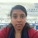 Photo of Lohitha C.