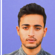 Suhail Qadir Class I-V Tuition trainer in Tangmarg