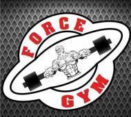 Force Gym Gym institute in Delhi