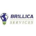 Brillica Services Data Science Training Institutes institute in Delhi