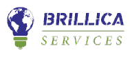 Brillica Services Python institute in Dehradun