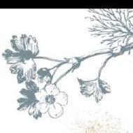 Akanksha Y. Class I-V Tuition trainer in Kanpur