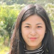 Alekho Class I-V Tuition trainer in Kohima