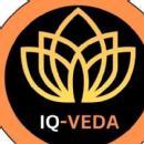 Photo of IQ Veda Institute