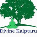 Photo of Divine Kalptaru Yoga Studio