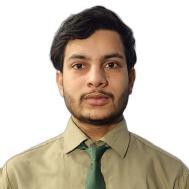 Mubarak Hussain Ansari Class I-V Tuition trainer in Aligarh