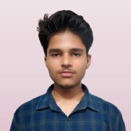 Shubham Kumar Class 9 Tuition trainer in Rajgir