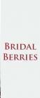 Bridal Berries Makeup institute in Chennai