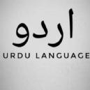 Photo of Aliya Urdu Classes