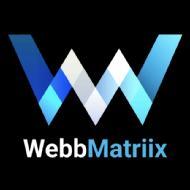 WebbMatriix Digital Marketing institute in Indore