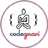 Codegnan Institute Python institute in Hyderabad