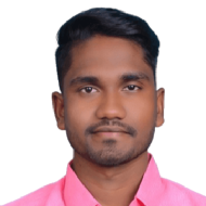 Durgesh Sahu BTech Tuition trainer in Raipur