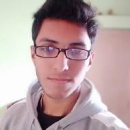 Debangick Bhattacharjee Class I-V Tuition trainer in Kolkata