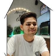 Vansh Katharia Class I-V Tuition trainer in Delhi