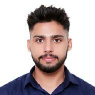 Sumit Kumar Class I-V Tuition trainer in Ludhiana