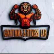 Giant Mma Fight Club Sports institute in Delhi