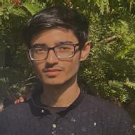 Rohan Nayyar Class I-V Tuition trainer in Delhi