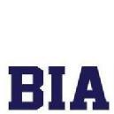 Boston Institute of Analytics photo