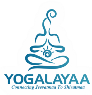 Yogalayaa Yoga institute in Bangalore