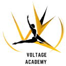 Photo of Voltage Academy