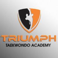 Triumph Taekwondo Academy Self Defence institute in Hyderabad