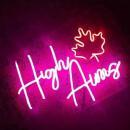 High Aims Academy BBA Tuition institute in Hoshiarpur