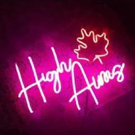 High Aims Academy BBA Tuition institute in Hoshiarpur