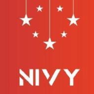 Nivy Academy Digital Marketing institute in Lucknow