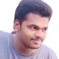 Lakshman Saladi Class 12 Tuition trainer in Atchanta