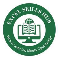 Excel Skills Hub Computer Course institute in Noida