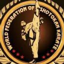 Asmabeevi Karate Institute photo