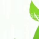 School of Excellence Nursery-KG Tuition institute in Chennai