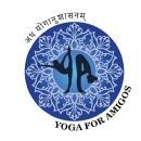 Yoga for Amigos photo