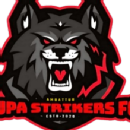 FC Supa Strikers Football Coaching institute in Chennai