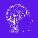 Cerebrum Biology Academy photo