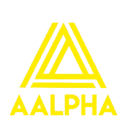 Aalpha Global Institute Tally Software institute in Raipur