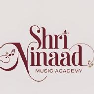 Shri Ninaad Music Academy Flute institute in Delhi