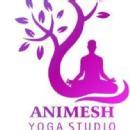 Animesh Yoga Studio Hatha Yoga Classes institute in Dascroi