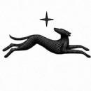 Monkey Mentors Data Science institute in San Francisco