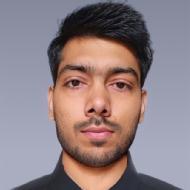 Vineet C. Class I-V Tuition trainer in Noida