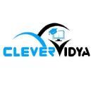 Clever Vidya Academy Pvt Ltd Functional Training institute in Delhi