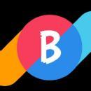 Brines IT Solutions Pvt Ltd photo