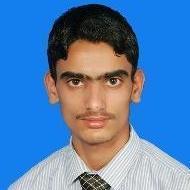 Adrees Ahmed BFA Tuition trainer in Islamabad
