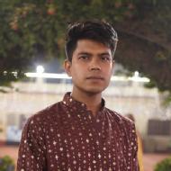 Vivek Pal Graphic Designing trainer in Saha Urf Pipalgaon